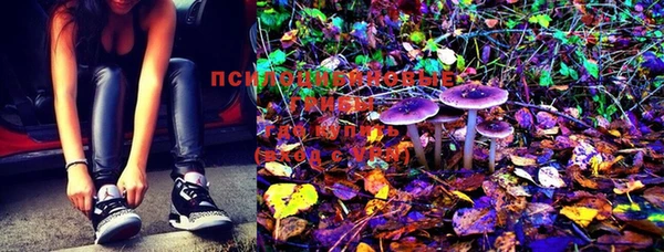 марки lsd Баксан