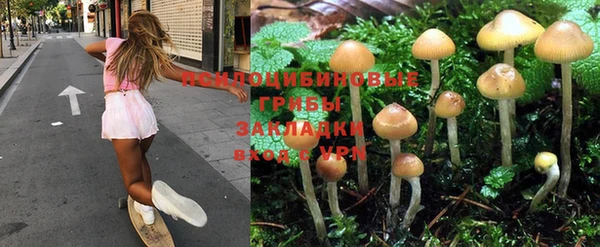 стафф Балахна