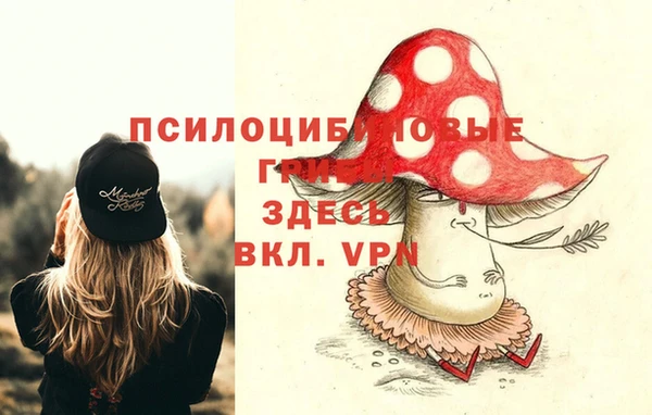 стафф Балахна