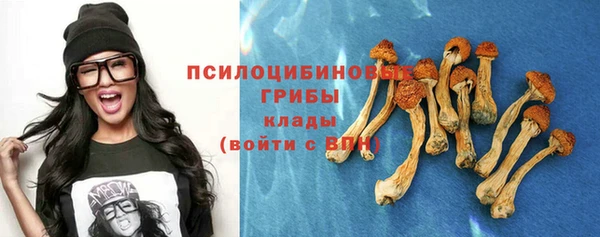стафф Балахна